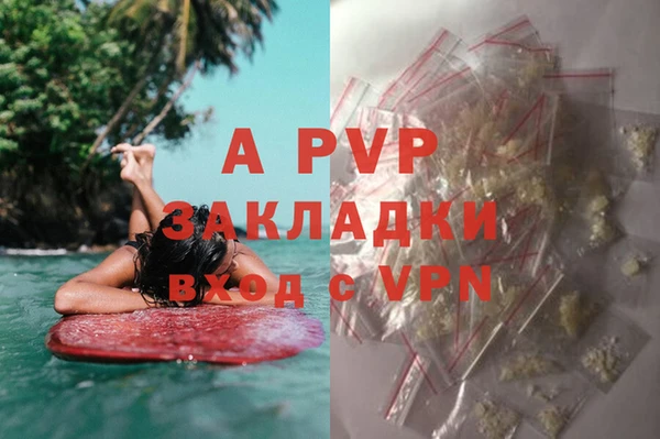 винт Надым